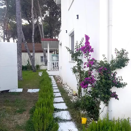 Apartment Lemon Garden White